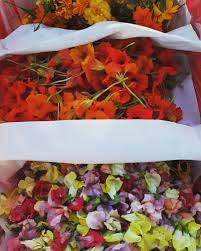 Fresh from the flower farm near you. Meyer Farms Certified Organic Edible Flowers Picked And Facebook