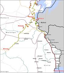 Image result for Agrocharis incognita