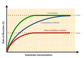 Increasing substrate concentration also increases the rate of reaction to a certain point. Enzyme Kinetics Bioninja