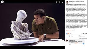 Image result for Tridactyle virginea