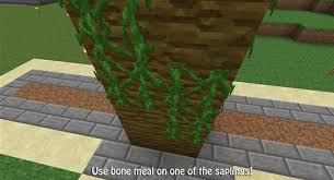 The tree chopping room, and the nature room. How To Build A Tree Farm In Minecraft For Easy Access To All Types Of Wood Minecraft Wonderhowto