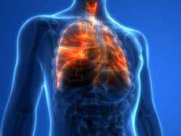 Burning Sensation In Lungs Causes And Treatments