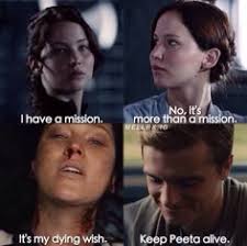 310 Hunger Games! ideas