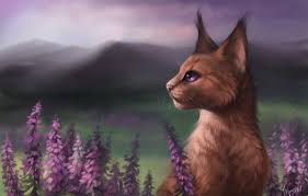 All orders are custom made and most ship worldwide within 24 hours. Photo Wallpaper Flowers Mountains Art Novel Of Warrior Cats Heathertail 1332x850 Wallpaper Teahub Io