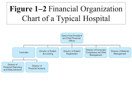 Chapter 1 Financial Information And The Decision Making
