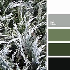 Black And White Color Scheme Color Palette 2483 Grey Color Scheme Black Color Palette Green Colour Palette