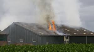P1 brand wegvervoer (auto) 't hof ; Uitslaande Brand In Schuur Naast Zorgboerderij In Wezep Omroep Gelderland