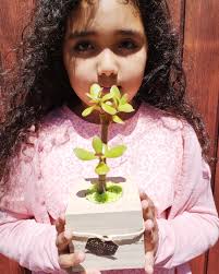 Cactus Concepción (@cactus_concepcion) • Instagram photos and videos