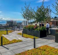 Green Roof Systems | Columbia Green