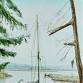 Watercolor 6-Week Workshop with Carol Hix event image