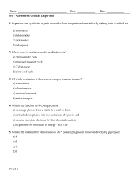 Another couple of bursts, bullets hissing over their heads this time, but they could stay where they we hope these photosynthesis and respiration worksheet answer key images gallery can be a resource for you, bring you more inspiration and. Self Assessment Cellular Respiration