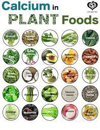 Calcium Gibts Auch Ohne Milch Learn Cook Eat