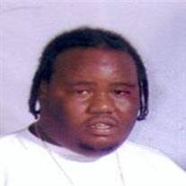 Matthew David Sivells Obituary