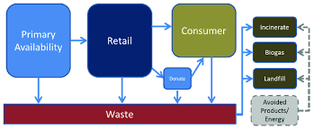 They will learn how a baby plant grows, how the roots emerge from the seeds. Life Cycle Stages For Modeling Food Wastes Avoided Products And Energy Download Scientific Diagram