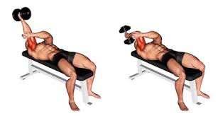 Grab an ez bar loaded to your desired weight so that your palms are facing toward you. á… French Press Bodybuilding Top 5 Ubungen Bilder Videos