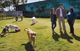 Corporate Careers Petco Careers