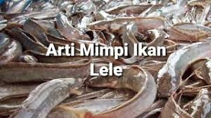 Mimpi ikan lepas dari tangan. Arti Mimpi Ikan Lele Menurut Islam Primbon Dan Psikologi Youtube