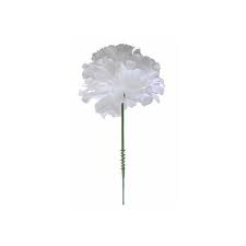 Carnations are a species of dianthus which comes from the greek words for divine (dios) and flower (anthos). Beautiful Silk Carnation Flowers Purchase Step And Repeat La