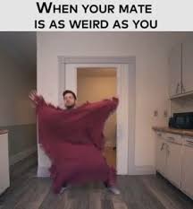That S Gotta Be The Best Pirate I Ve Ever Seen Download 40 Whatsapp Photos Free Download Funny Video Memes Funny Relatable Memes Stupid Funny