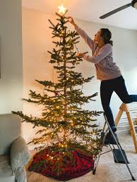 Check spelling or type a new query. Minot Monday Christmas Trees In Minot Nd U Cut Trees In Minot