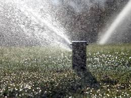Check spelling or type a new query. How To Find Lawn Sprinkler Irrigation Valves