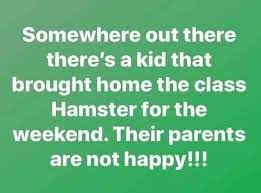 25 Funny Homeschool Memes 2020 Remote Learning Laughs Homeschool Memes Homeschool Humor Funny Birthday Meme