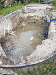 Vom Swimming Pool Zum Naturpool Mit Holzrahmen Schwimmteichbau Topteich Forum