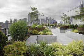 Living Roofs Crown Green Design Roof Garden Design Modern Landscaping Roof Garden