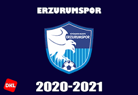.club, erzurumspor logo, mosaic art, tff first league, football, bb erzurumspor for desktop free. Index Of Wp Content Uploads 2020 11