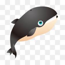 Apakah anda mencari gambar desain ilustrasi ikan terbang template psd atau file vektor? Paus Vektor Unduh Gratis Arena Of Valor Android U5927u5929u4f7fu4e4bu5251h5 Perangkat Lunak Wallpaper Kartun Ikan Paus Vektor Gambar Png