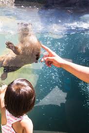 Get yourselves an imaginary coworker to blame things on. Edmonton Attractions Pass Explore Edmonton