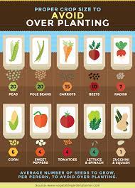 Low Maintenance Gardening For Busy People Family Food Garden Garden Layout Vegetable Small Vegetable Gardens Vegetable Garden Design