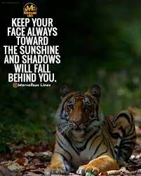 Pin On Quotes Wallpapers