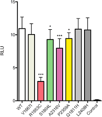 Functional evidence implicating NOTCH2 missense mutations in primary  ovarian insufficiency etiology
