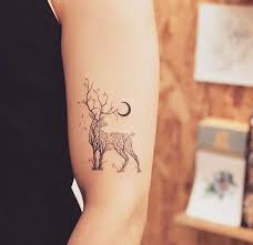 Kol Dovmesi Geyik Figuru Dovmesi Figuru Geyik Kol Hirsch Tattoo Tattoo Vorlagen Tatowierungen