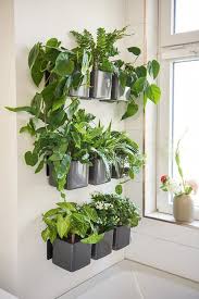 Lechuza Cube Glossy 14 Na Zed Cervena Habitat A S We will talk about different substrates with a distinctive composition and purpose. lechuza cube glossy 14 na zed cervena