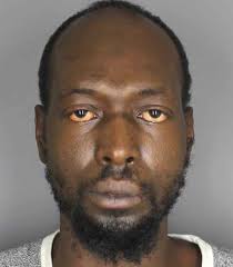 Oneonta Raids Recover Heroin