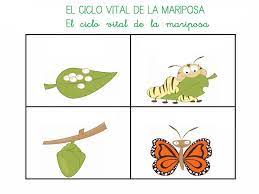 Pin En La Pequena Oruga Glotona