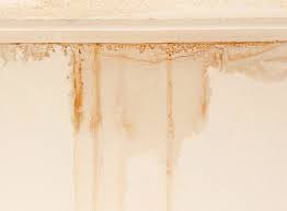 Checklist of moisture trouble spots. What To Do If You Spot Moisture Stains On Your Ceiling
