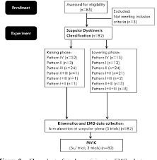 figure 2 from specific kinematics and associated muscle