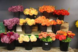 Find updated content daily for flowers seattle. Seattle Wholesale Grower S Market Rain Or Shine Guides