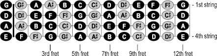 notes on the neck of the bass cyberfretbass com