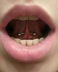 Pin By Sude Ozkaya On Tattoo S Piercings Mouth Piercings Tongue Web Piercing Web Piercing