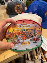 This Toontown hat I saw at a thrift store : r/Toontown