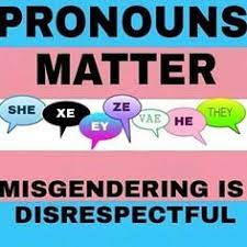 It can also mean they just do not fall for anyone romantically nor sexually. Lgbtqiapk