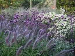 Petra Pelz Mein Neuer Garten Garten Privatgarten Gartenarten