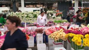 The ad contains great savings like weekend sale and wide grocery range winn dixie prepares great weekly ads containing a huge range of deli, bakery, packaged meat, fresh check this page on sundays to see the new one. Hallandale February 13 Motion Stock Footage Video 100 Royalty Free 14840644 Shutterstock