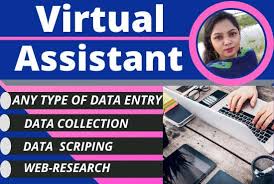 Nahida019616 I Will Be Your Virtual Assistant All Kind Of Data Entry Data Mining Web Research For 5 On Fiverr Com In 2020 Web Research Virtual Assistant Data Entry