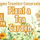Plant a Tea Garden