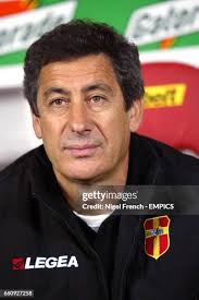 27,628 Cicco Stock Photos, High-Res Pictures, and Images